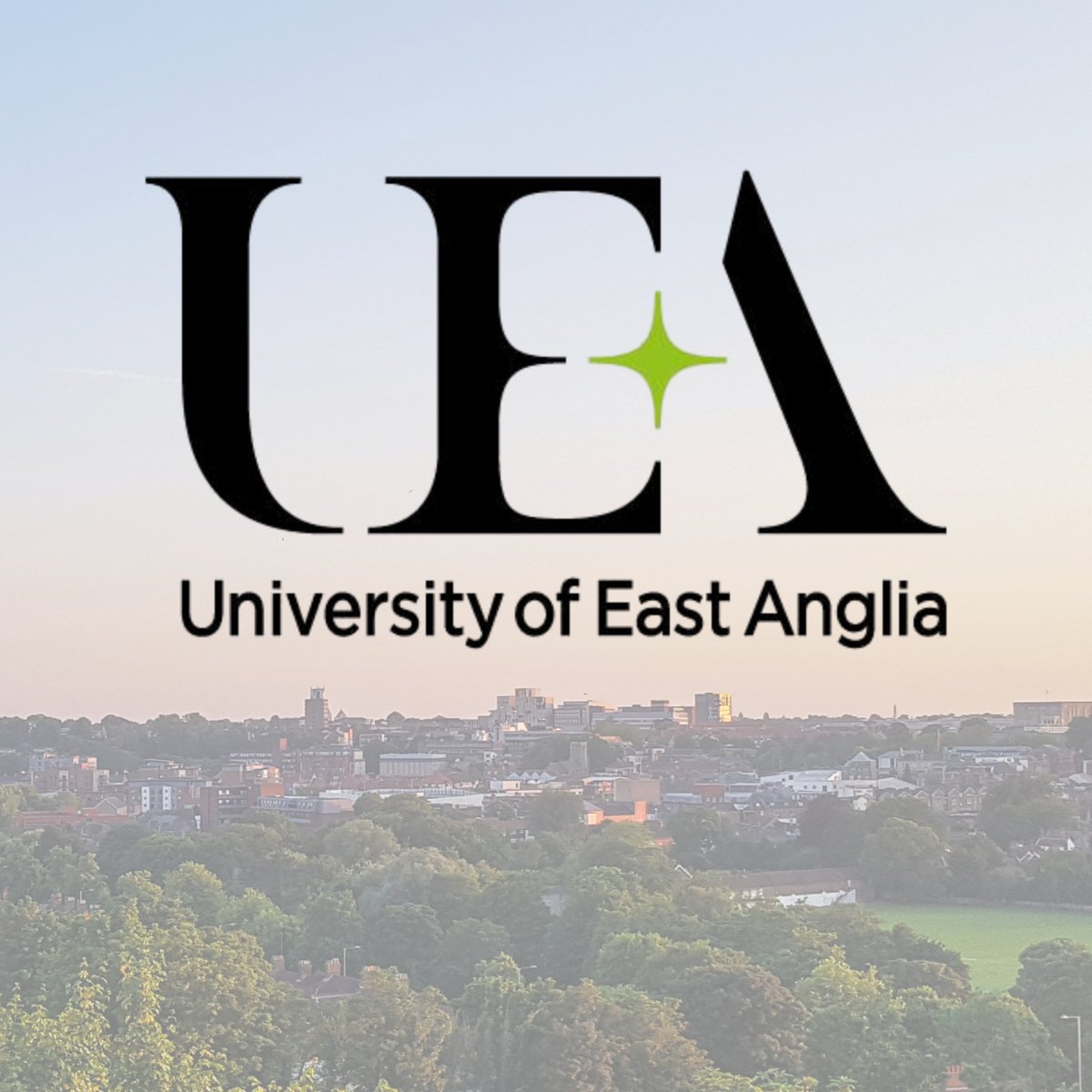 ABCD Diabetes tweet media