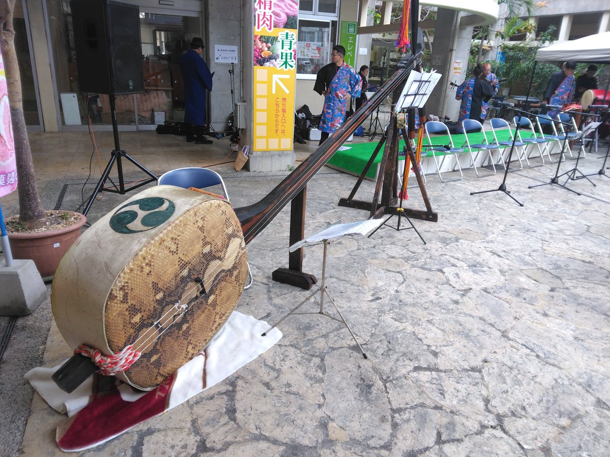 NagoBorder's tweet photo. なんでかデカいと嬉しい(^^)/
#沖縄北部　#さんしん　#なぜ https://t.co/Y8ImxPUGfD