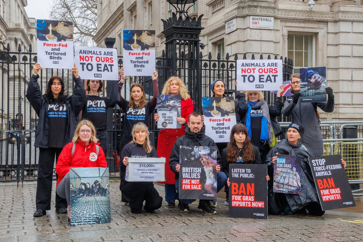 FOUR PAWS UK tweet media