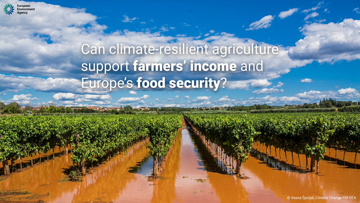 EU EnvironmentAgency tweet media