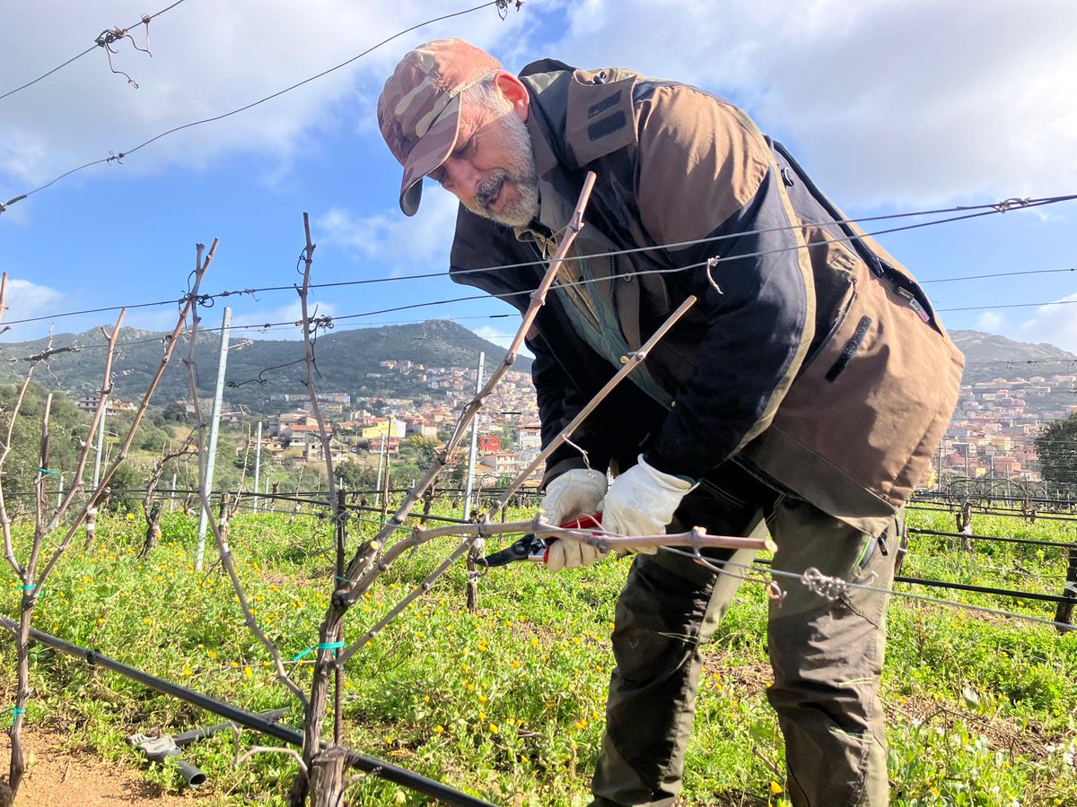 @gibadda tweet media