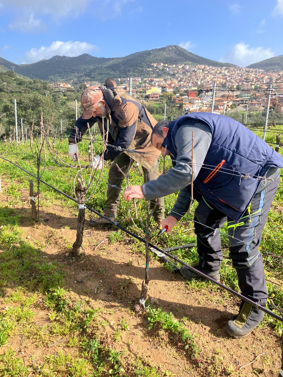 @gibadda tweet media