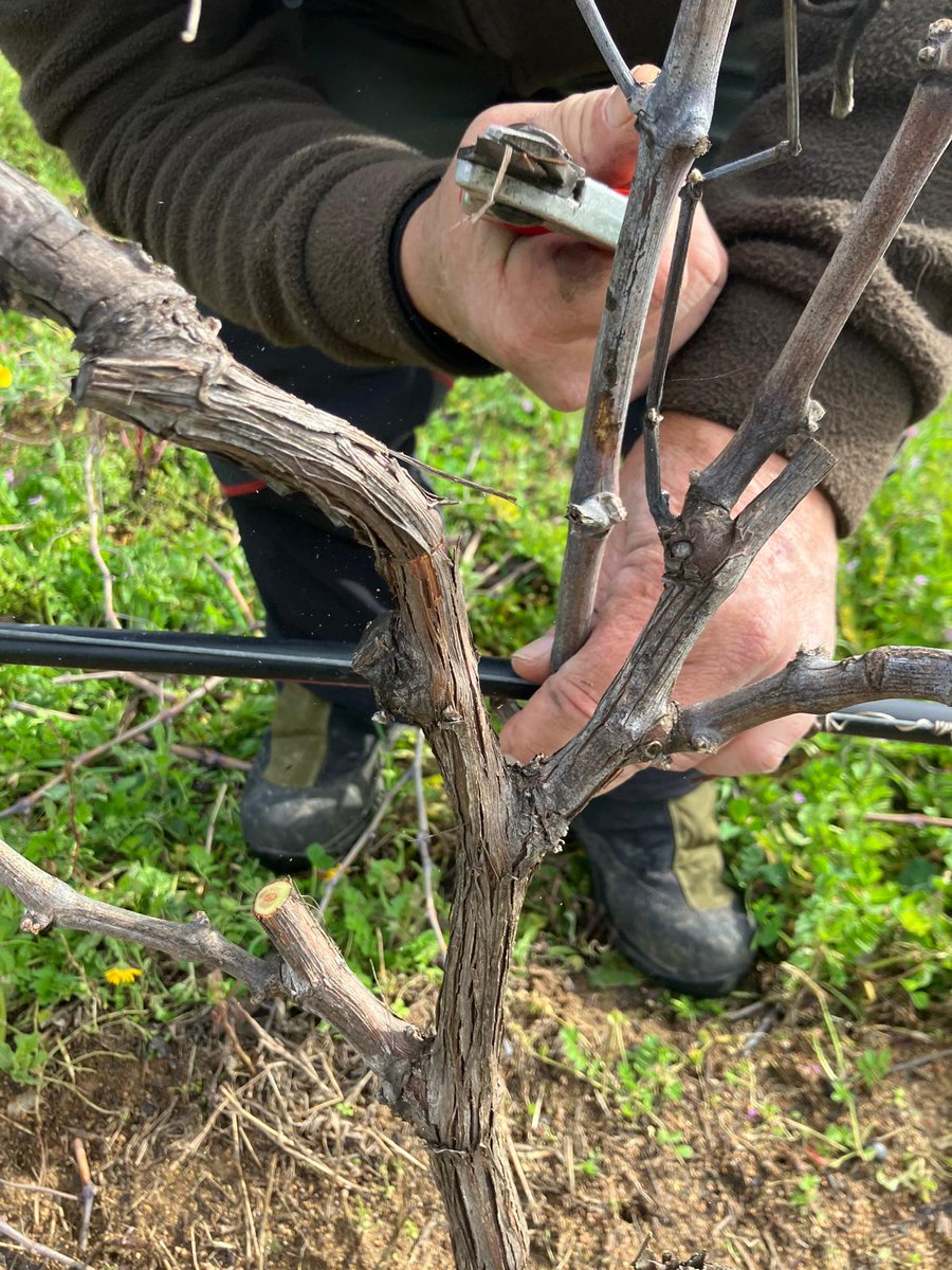 @gibadda tweet media