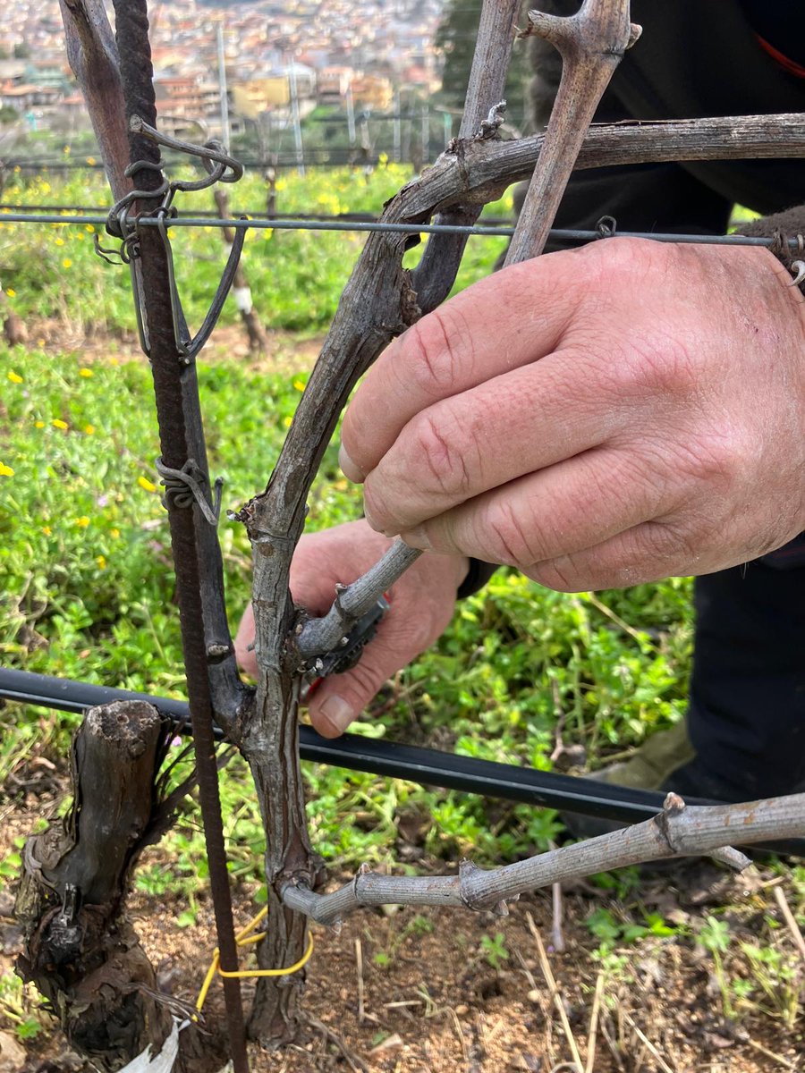 @gibadda tweet media