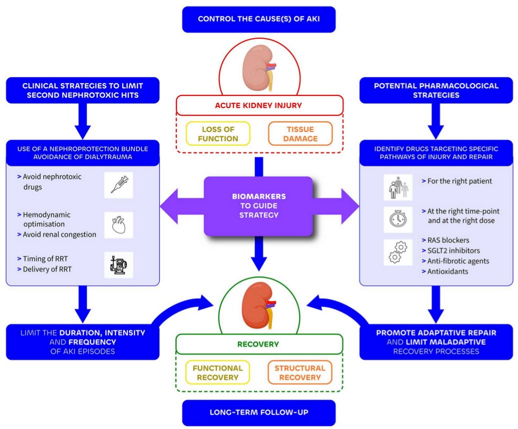 Today's Paper of the Day is:

State of the art: renal recovery after AKI—from basic science to clinical practice

criticalcarereviews.com/latest-evidenc…

Join us to read 1 paper per day and stay up-to-date as we cover the spectrum of critical care across 2026