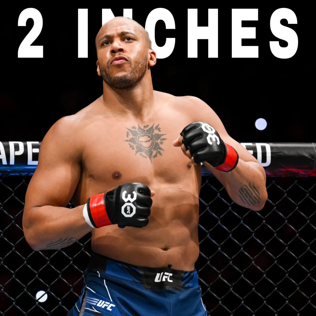 Dovy🔌 tweet media