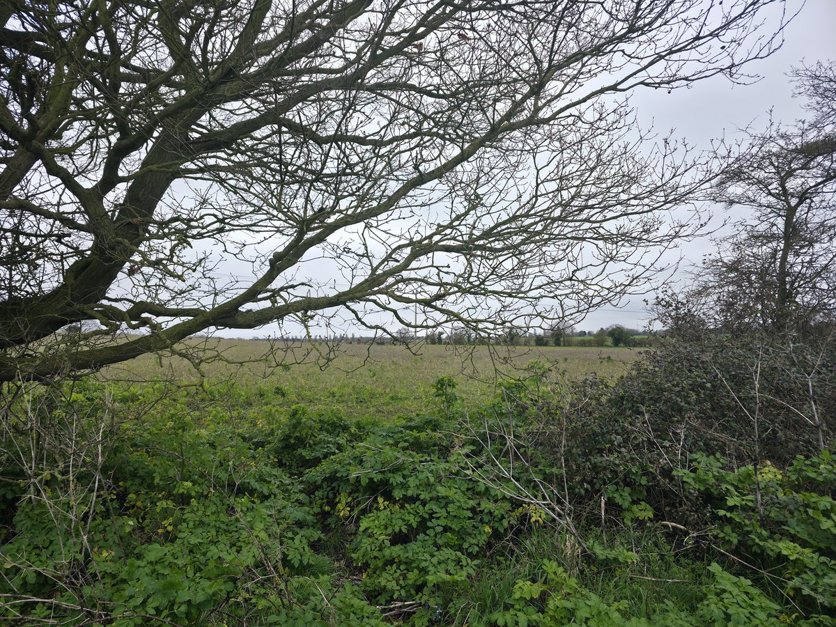 Shaun Cole tweet media