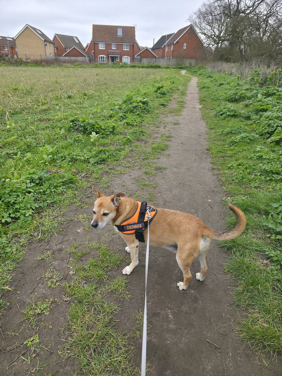 Shaun Cole tweet media