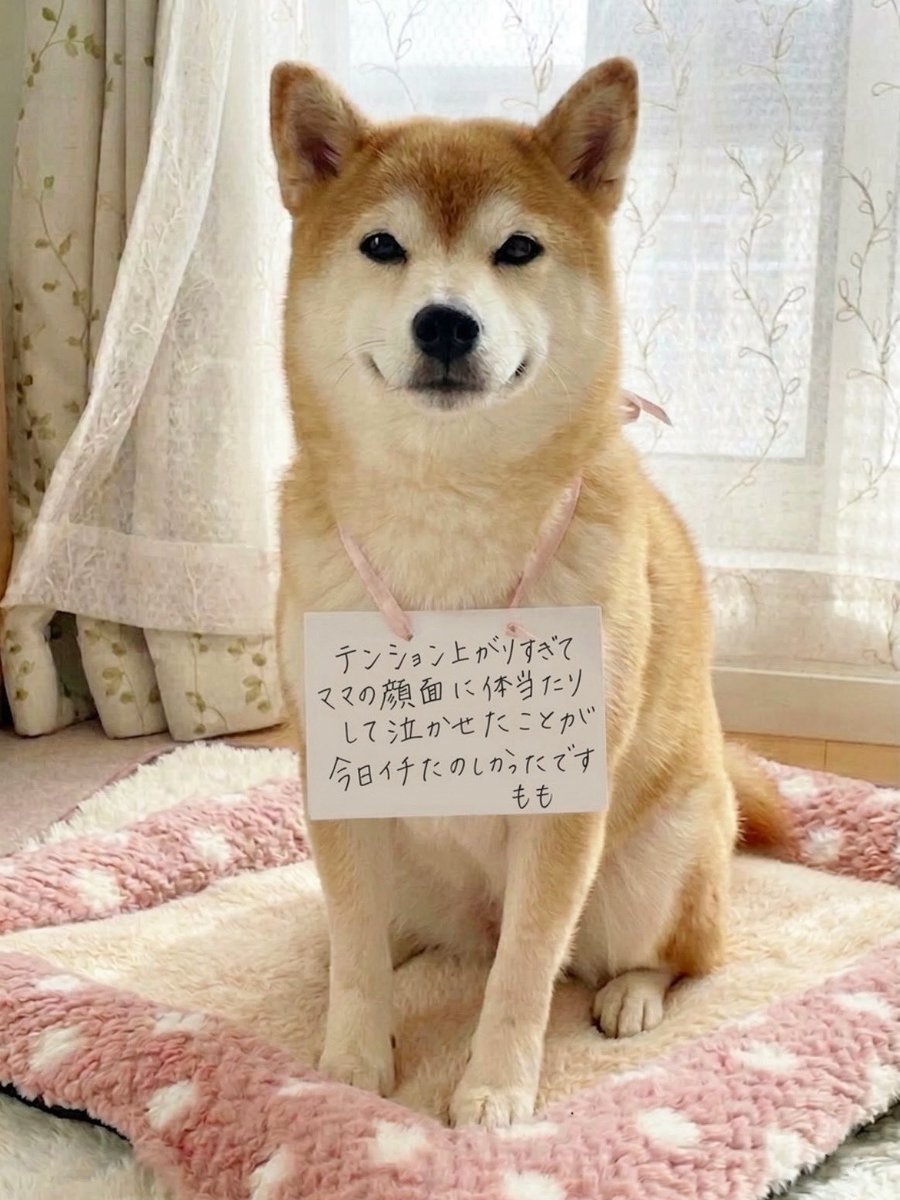 ❤️ももさま❤️ Momo🔥