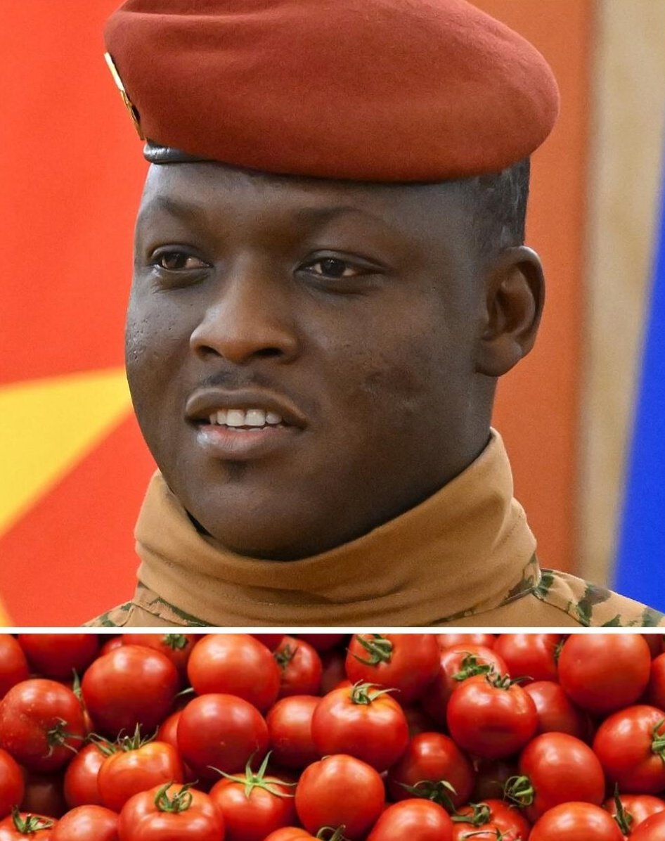 New Direction AFRICA tweet media