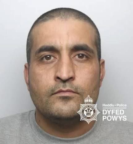 Danielle Proto tweet media