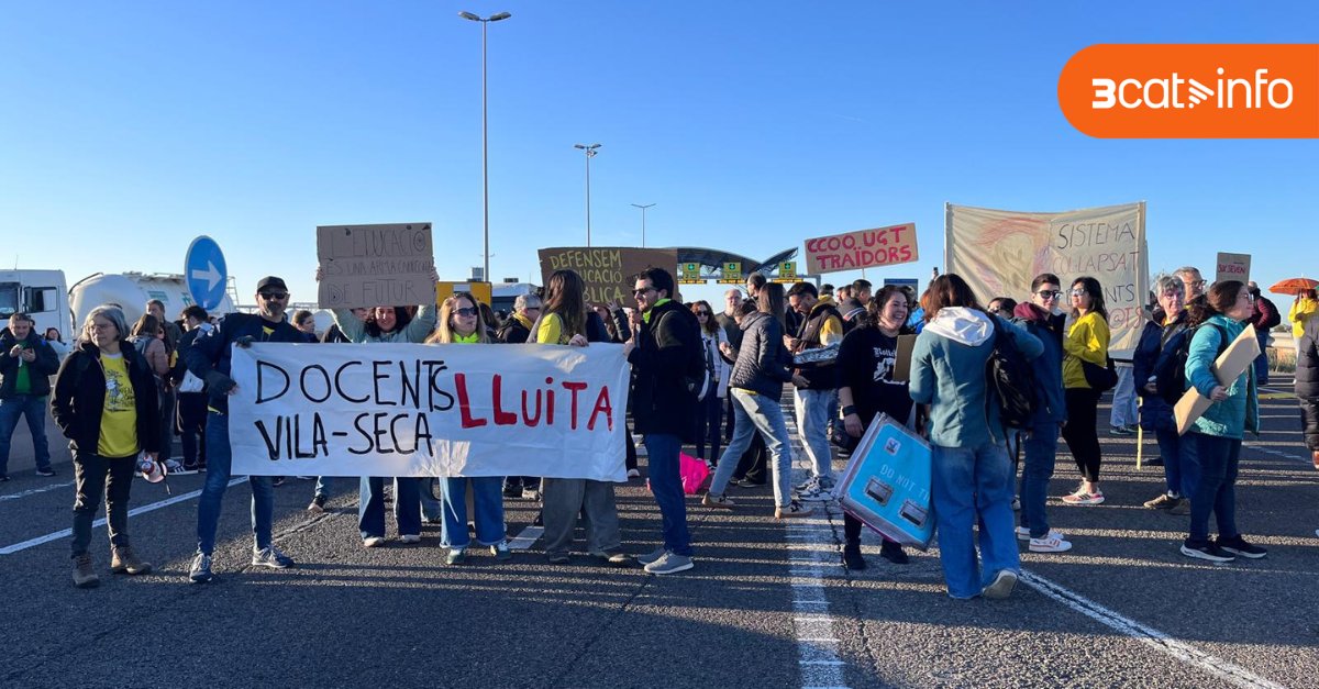 3CatInfo tweet media