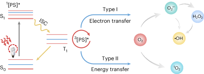Nature Protocols tweet media