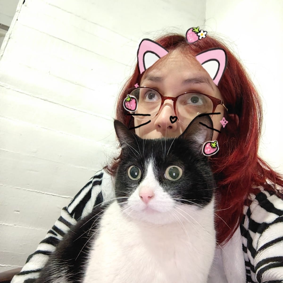 ConcheTuMabel's tweet photo. #DespiertaconCHV buenos días Kari y Pato, junto con desearle un feliz santo a Pato, igualmente quiero desear un feliz cumpleaños a mi humana Samanta. 27 años. Sus peluditos estaremos a cargo del cumpleaños rindiendo tributo a Village People jaja excelente martes para todos https://t.co/CKds4cFYT0