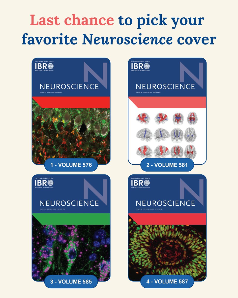 IBRO Journals tweet media