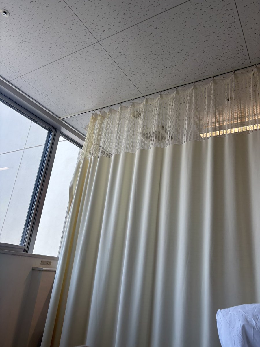 ベラライカ@褐色ドラゴンvtuber🐉 tweet media