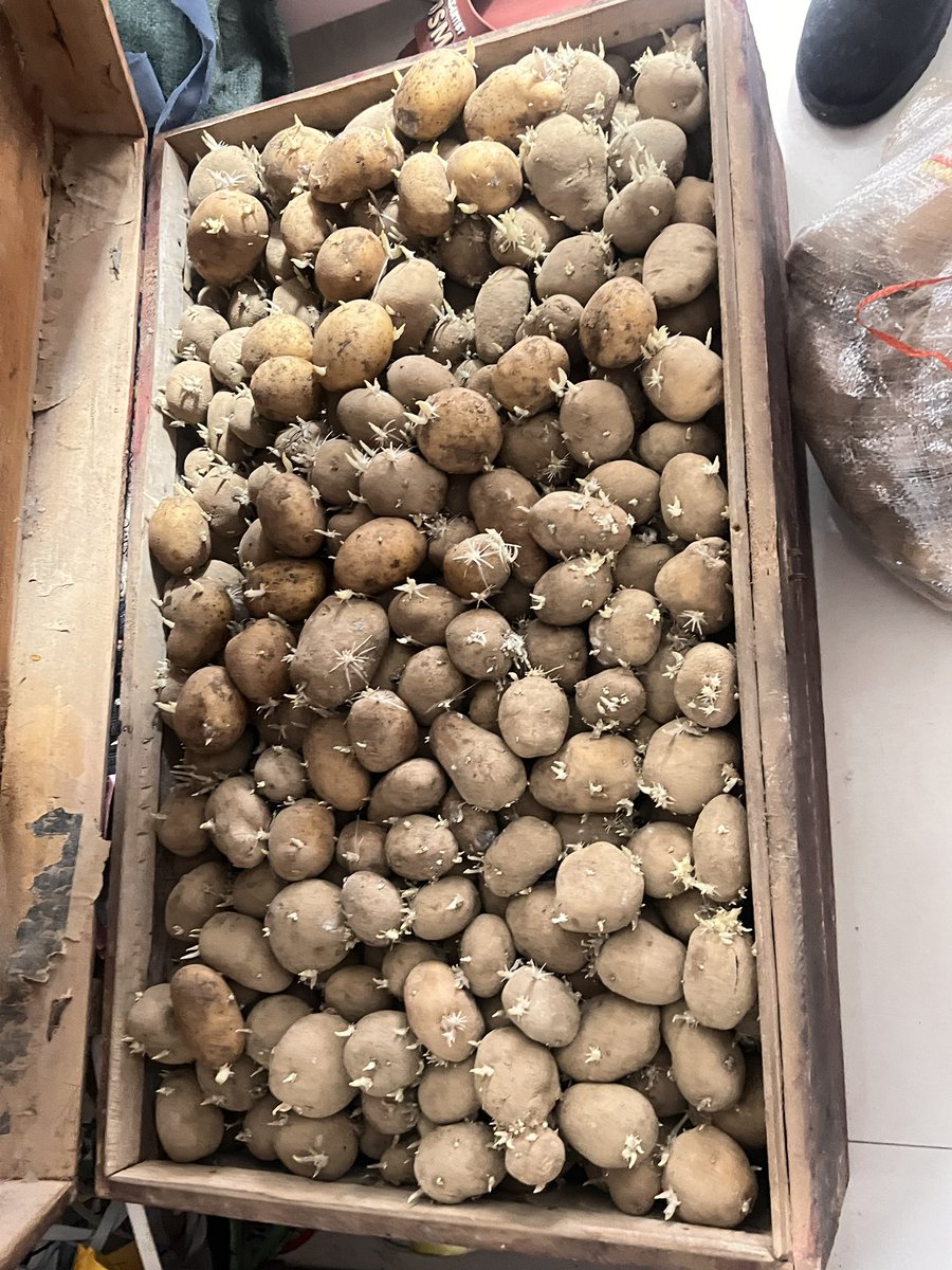 马泮艳 tweet media