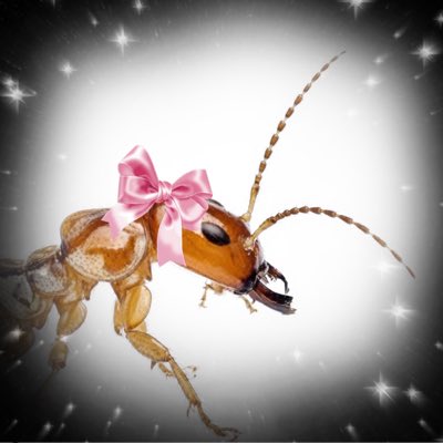 TermiteAssEater's tweet photo. #NewProfilePic https://t.co/2juZOhriVQ
