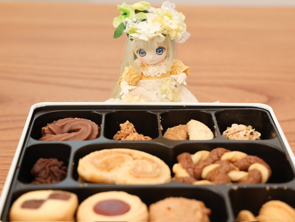 parukix's tweet photo. 🥳ミントちゃんお迎え３周年🍪😋
#シュガーカップス https://t.co/ifvfYcpCMF