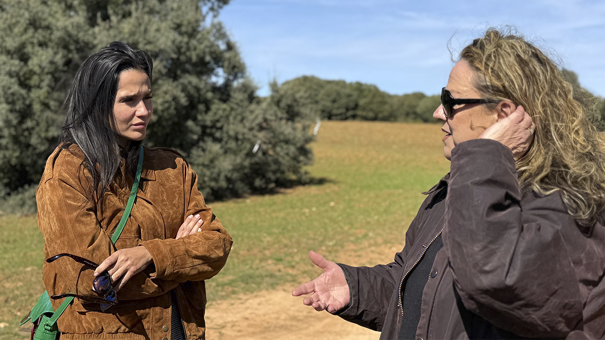 Actualidad Política tweet media