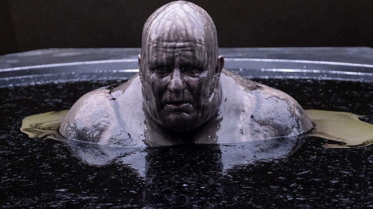 Templarpilled tweet media