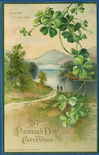 helen warlow tweet media