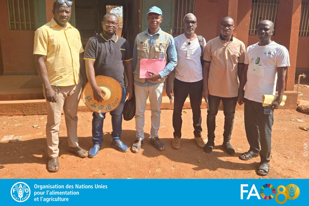 FAO Guinée tweet media