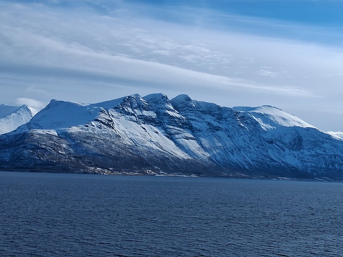 Steven 🔴🔰🏴󠁧󠁢󠁥󠁮󠁧󠁿 tweet media