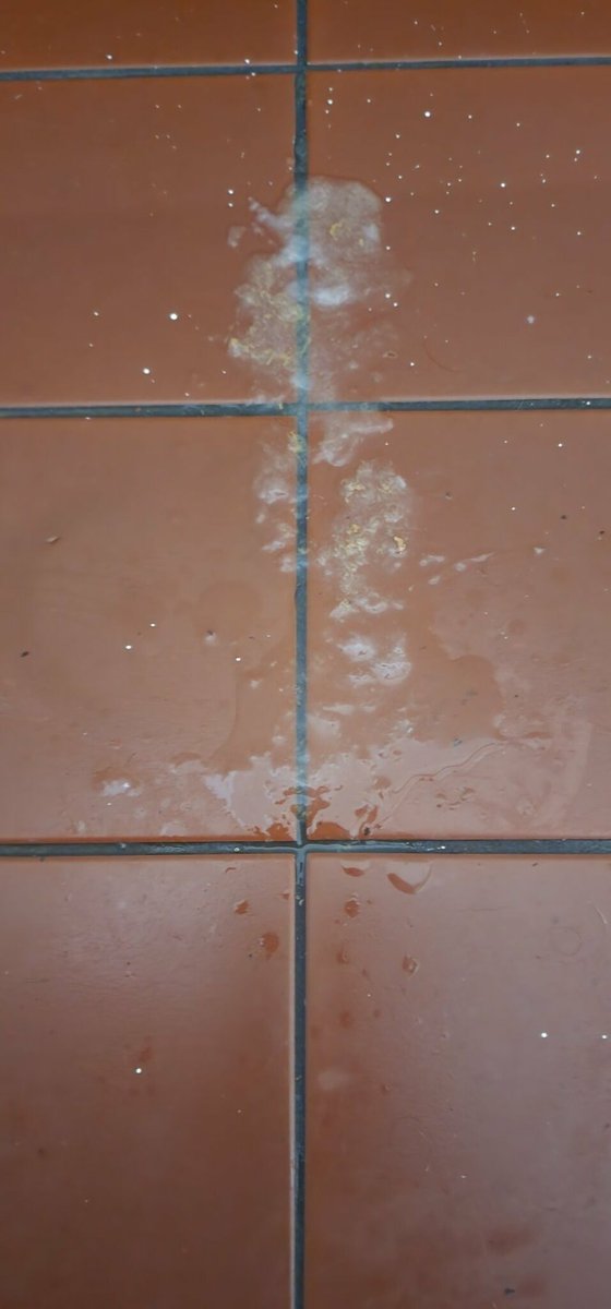 NOR3STR8NT tweet media