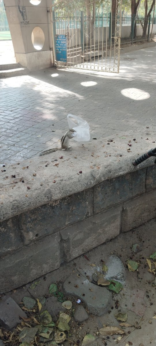 Bindass27 tweet media