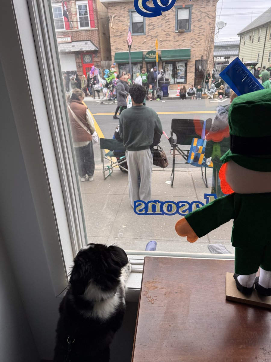 R. McLelland-Crawley 🌻 tweet media