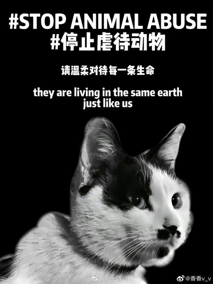 sawa-san tweet media