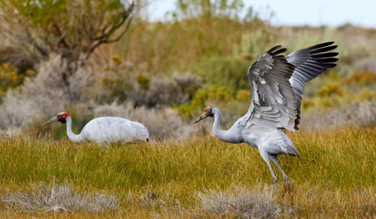 Sandy Horne tweet media