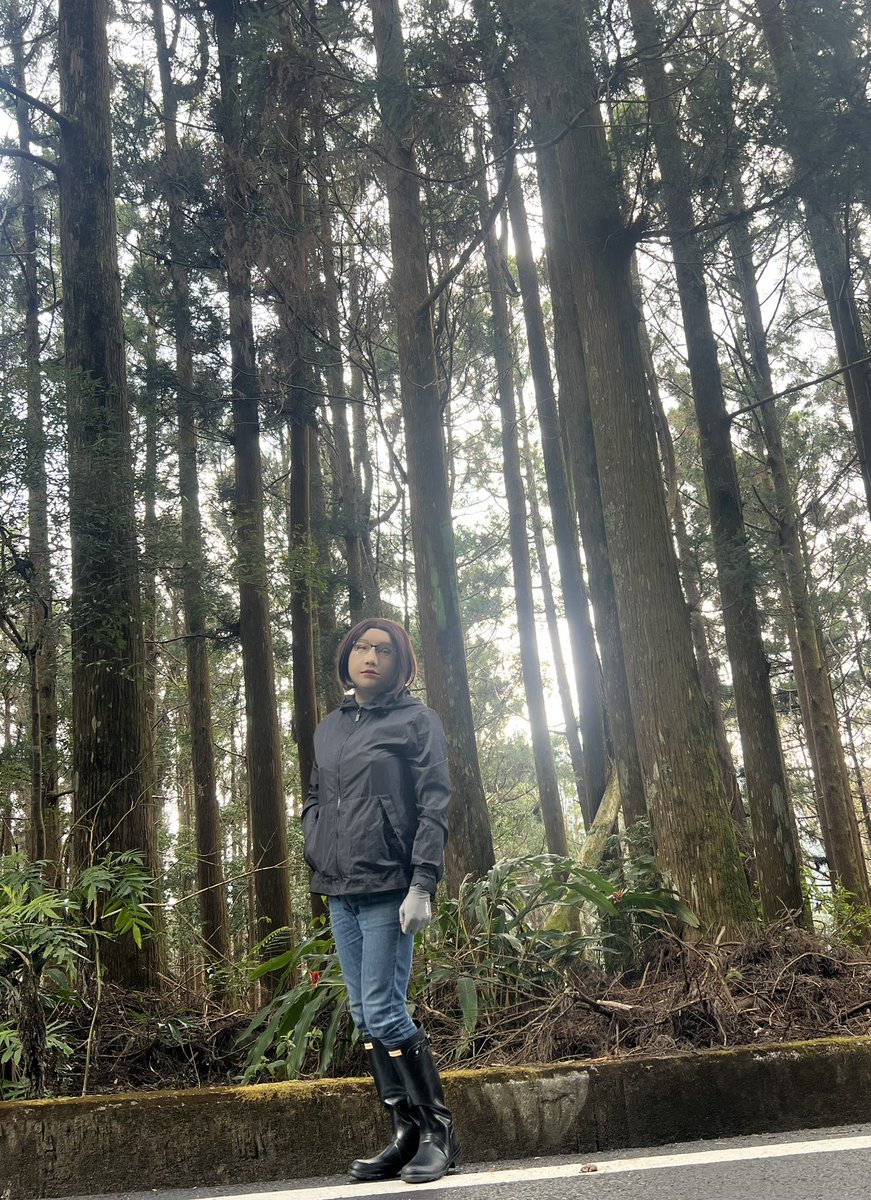 cloud77889900's tweet photo. Taiwan's fir tree is beautiful in the sunshine. Wearing hunter rain boots, she is enjoying phendorin, which can relax her mood.😌🥳 https://t.co/qhBSGs8WZE
