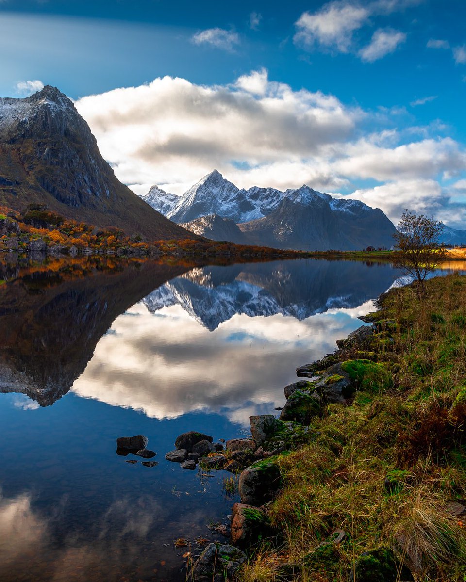 Kennefff (zen arc) tweet media