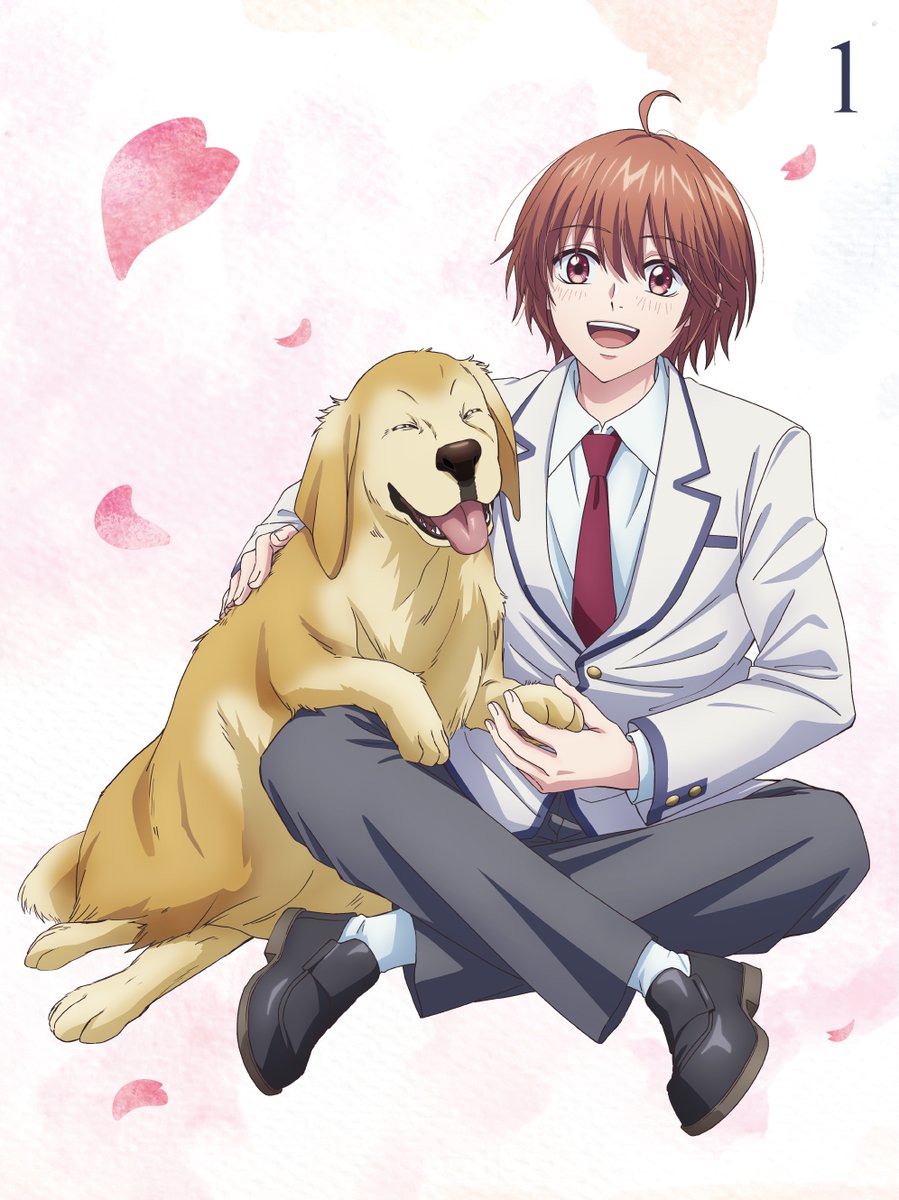 アニプレックス オンライン tweet media