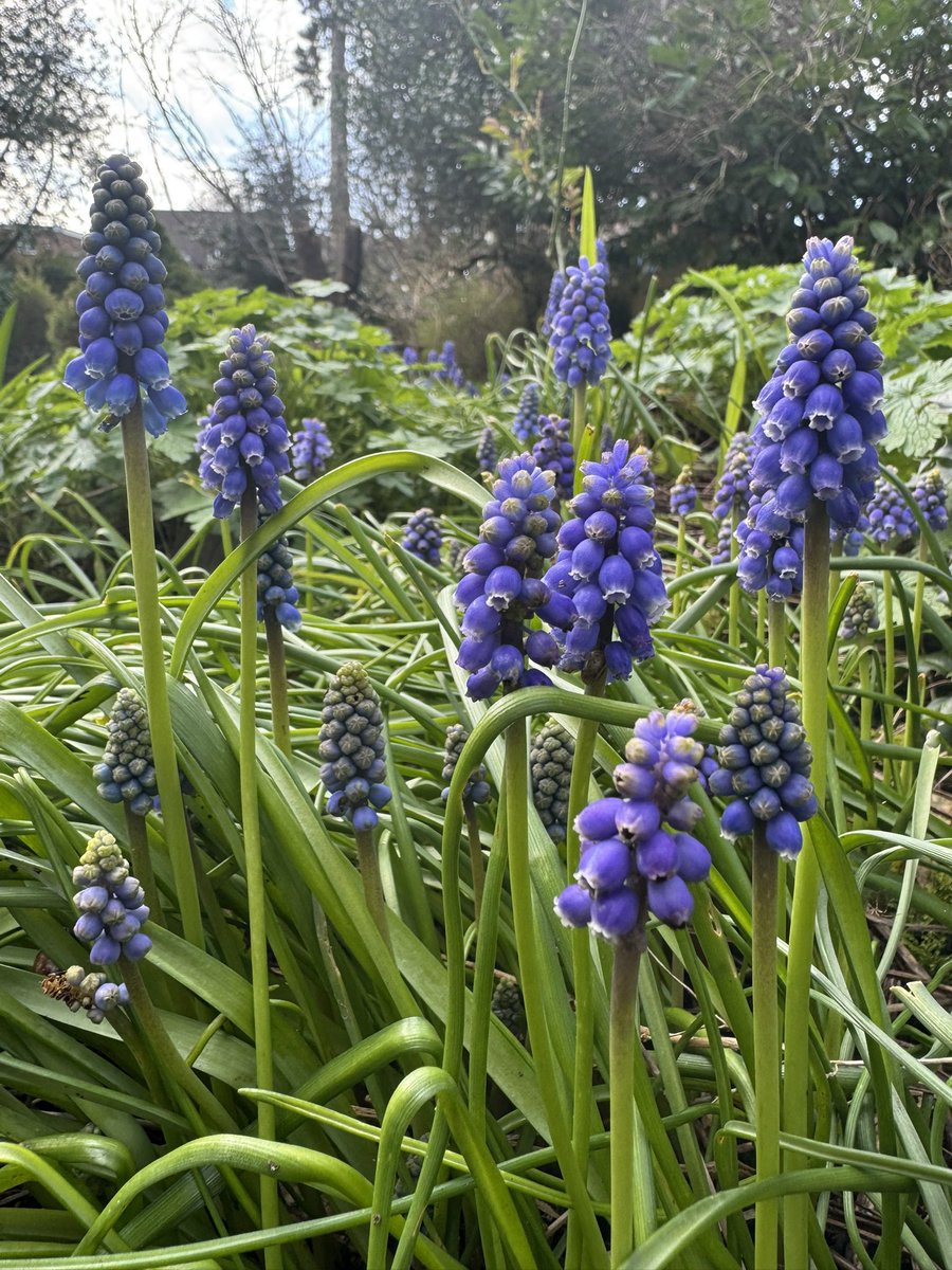 Simon Harlin tweet media