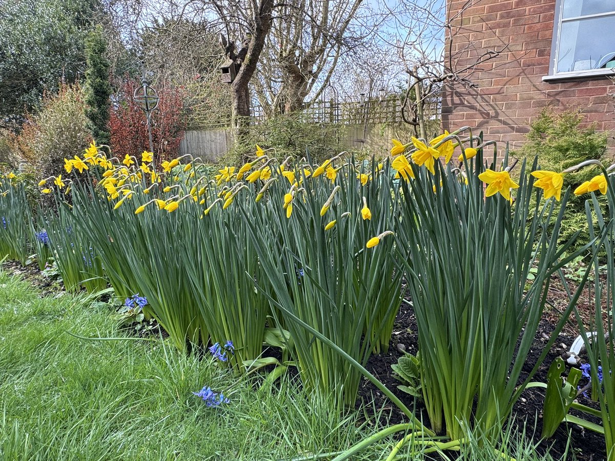 Simon Harlin tweet media