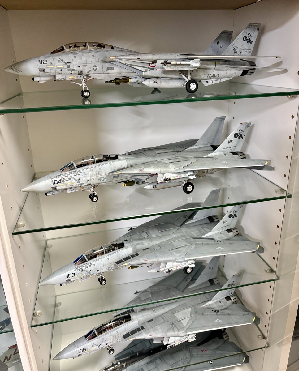 またしても、タミヤの1/48でF-14D トムキャッターズを作ってしまいました。これで6機目？