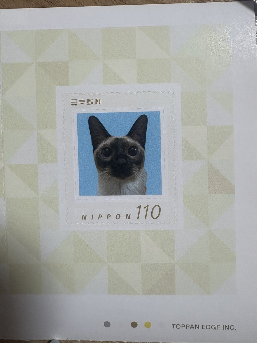 ドラムスキー tweet media