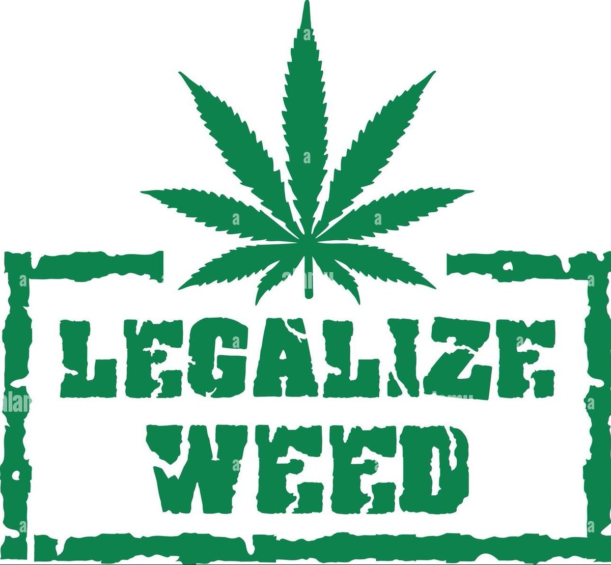 Medical Grower 420 🇺🇸 tweet media