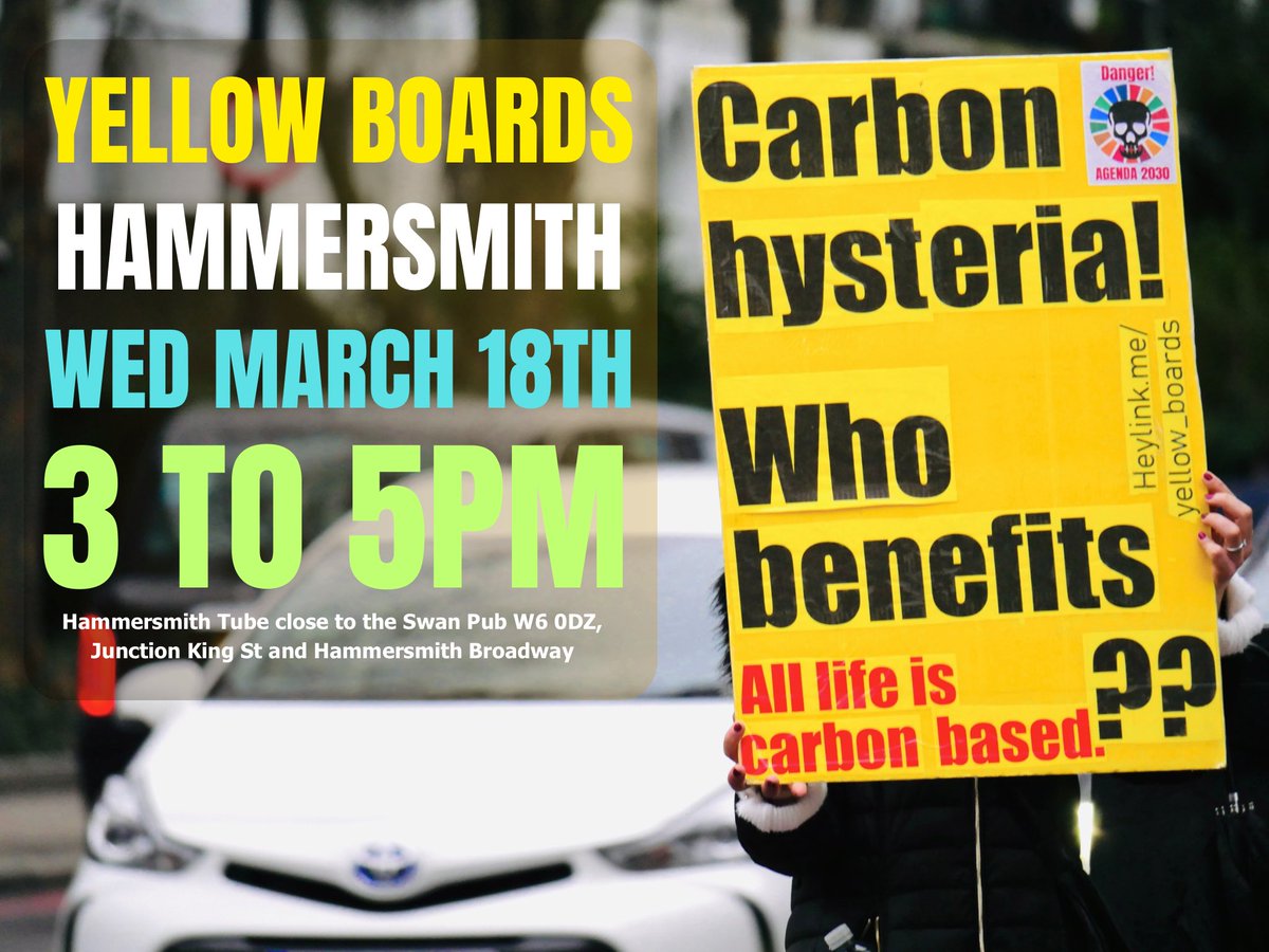 yellow_boards tweet media