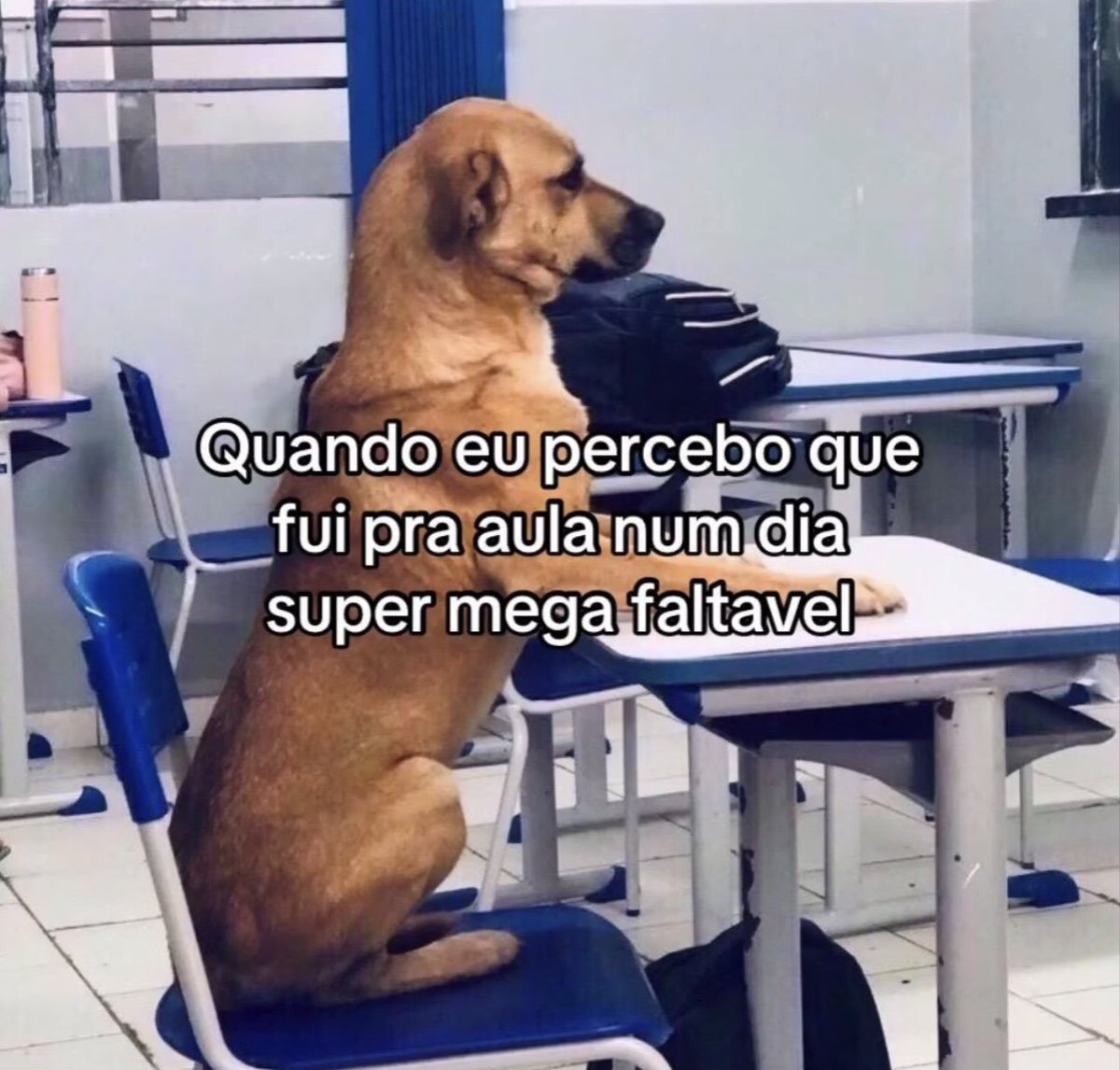 desabafos tweet media