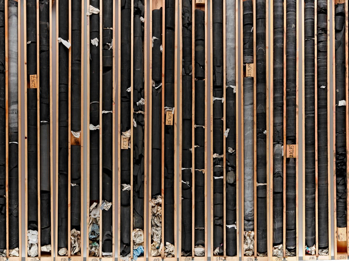 Université de Lausanne tweet media