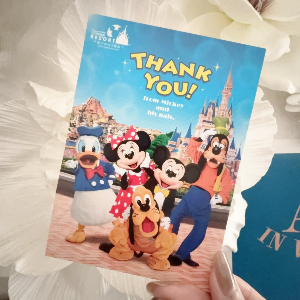 𝙎𝙊𝙇 東7 M45b tweet media