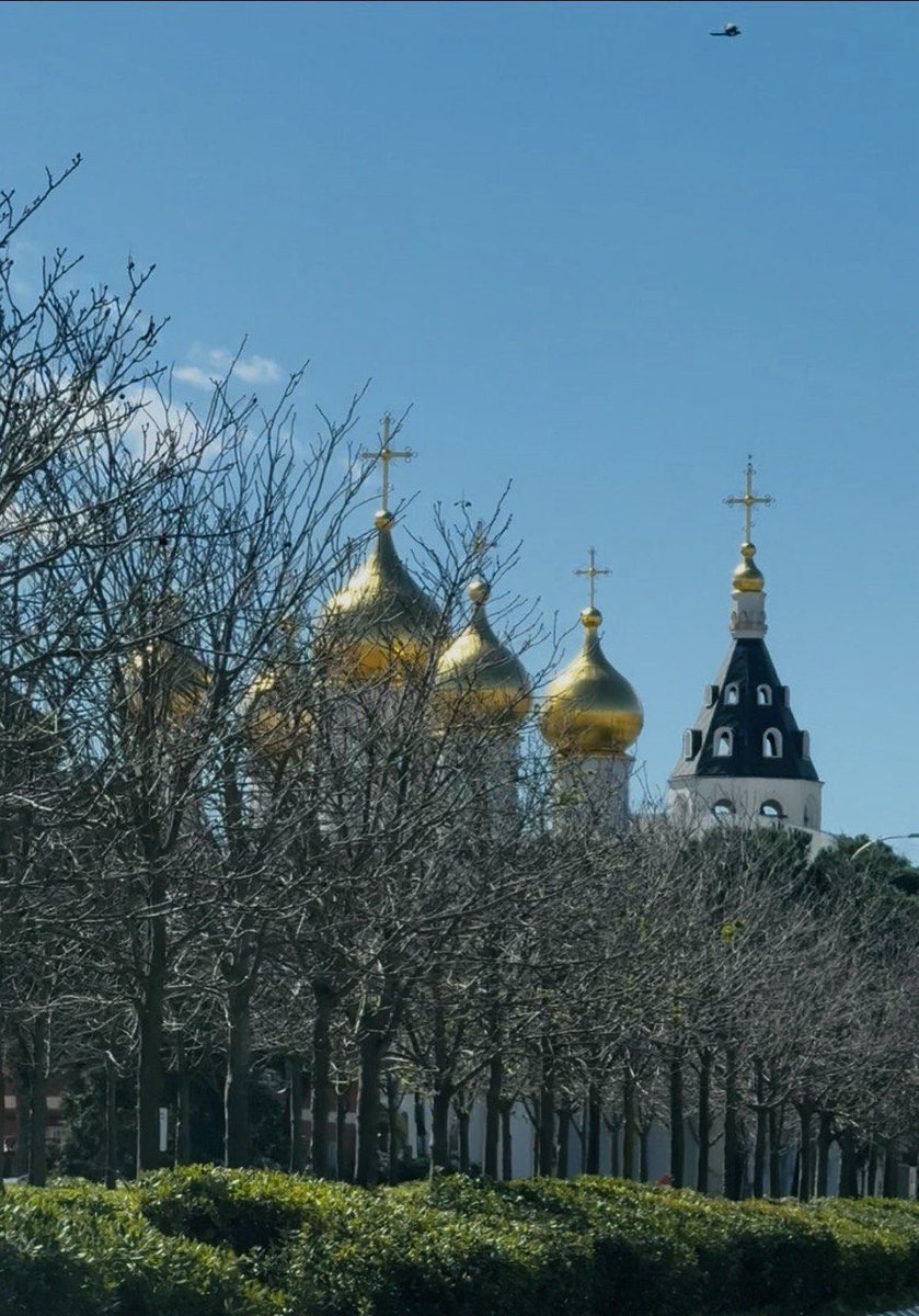 Посольство России в Испании tweet media