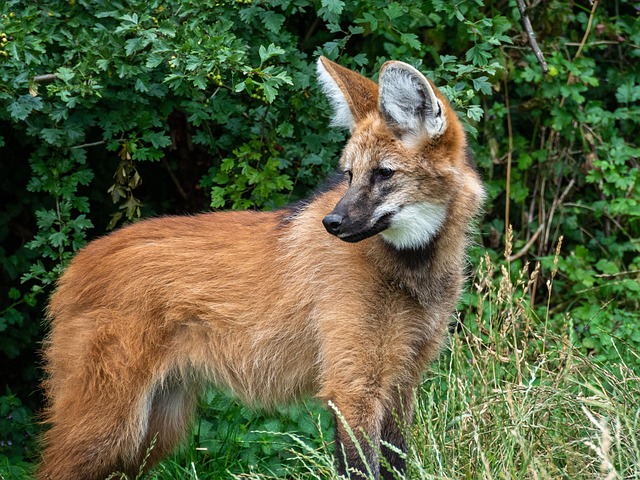 John Jenkins tweet media