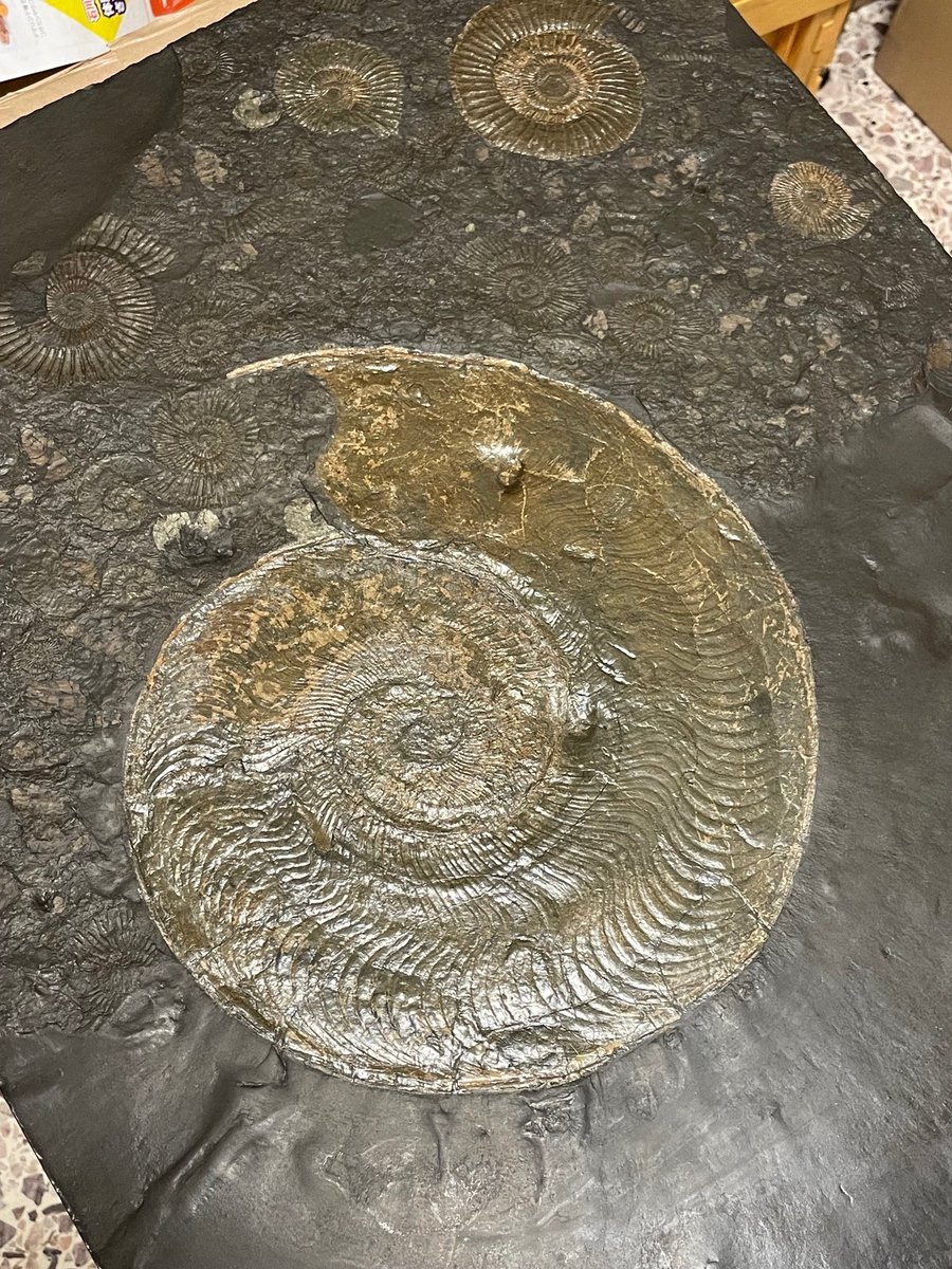 紀伊國屋書店 梅田本店 tweet media