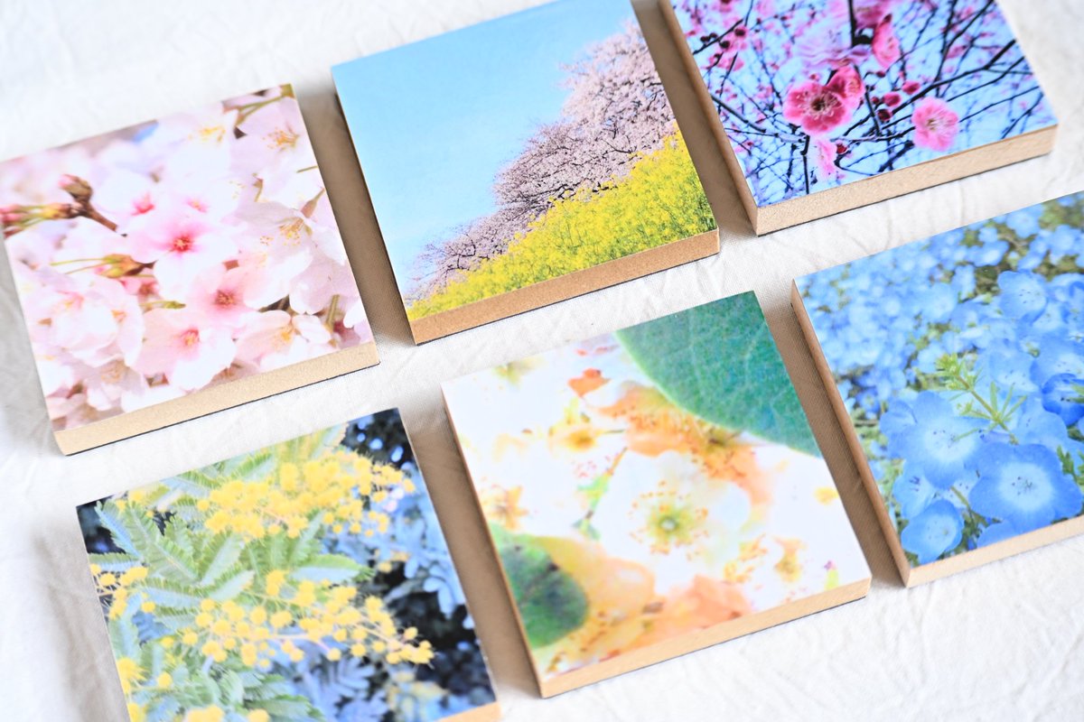 TETE｜4/5アニマーレ E-20 tweet media