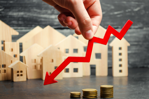 Liases Foras tweet media